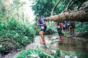 BIB: 
                            <button type="button" onclick="openModal(25459449)" class="btn btn-primary btn-sm float-right btn-popup" data-toggle="modal" data-target=".modal-high-quality">
                        <i class="fas fa-shopping-cart"></i> Add to Cart
                    </button>
                                            <button type="button" onclick="isThisMe(25459449, true)" class="btn btn-success btn-sm float-right btn-popup btn-isme hidden" data-toggle="tooltip" data-placement="bottom" title="นี่คือรูปของคุณใช่ไหม คลิกที่นี่เพื่อเอาเข้าอัลบั้ม">
                        <i class="fas fa-plus"></i> Add to album
                    </button>
                    <button type="button" onclick="isThisMe(25459449, false)" class="btn btn-warning btn-sm float-right btn-popup btn-isnotme hidden">
                        <i class="fas fa-ban"></i> Remove from album
                    </button>